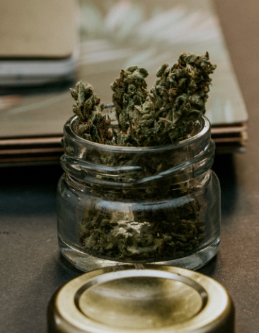 Unveiling why 59% of cannabis buyers choose apps